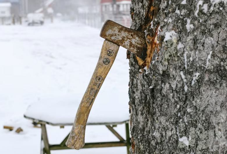 an axe in a tree