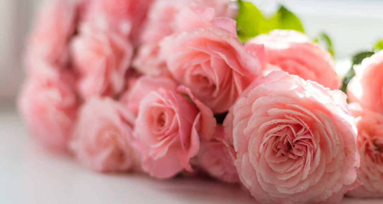 Top Spring Wedding Planning Tips