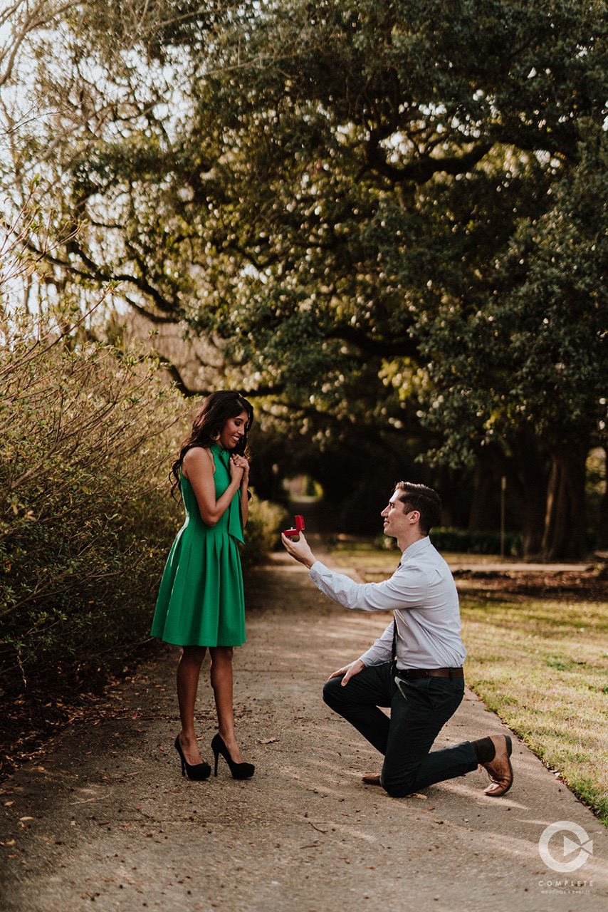 proposal engagement pictures