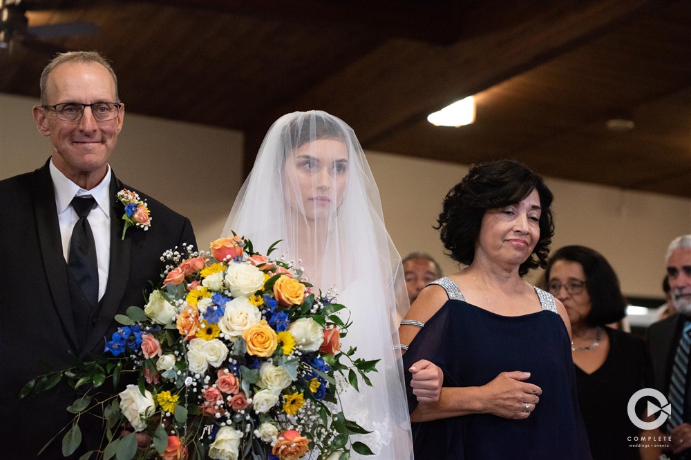 Bride with veil