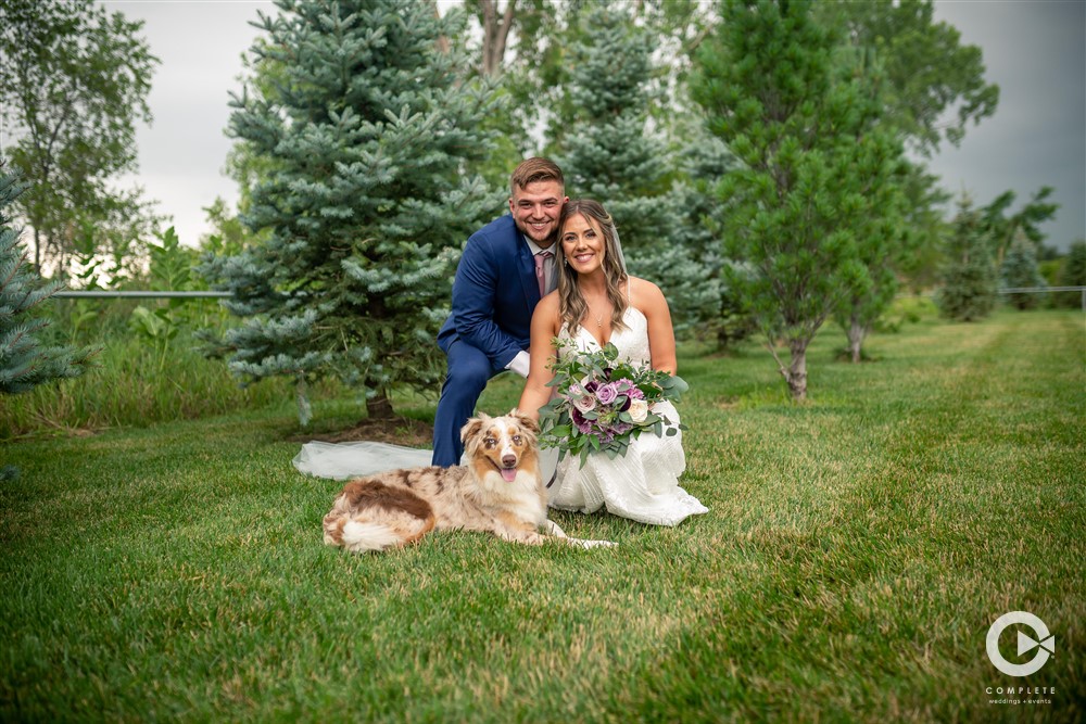 wedding photos with dog