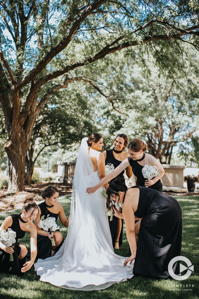 bridesmaids photo in Omaha tree in background Vanessa with Complete Weddings + Events Omaha wedding photographer