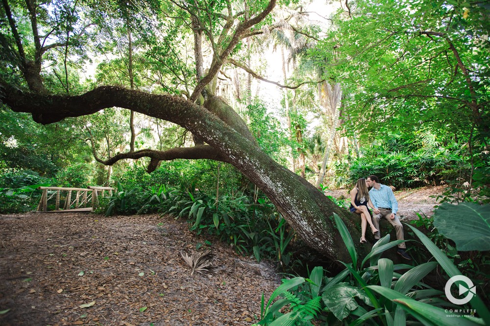 Engagement photo near a large beautiful tree