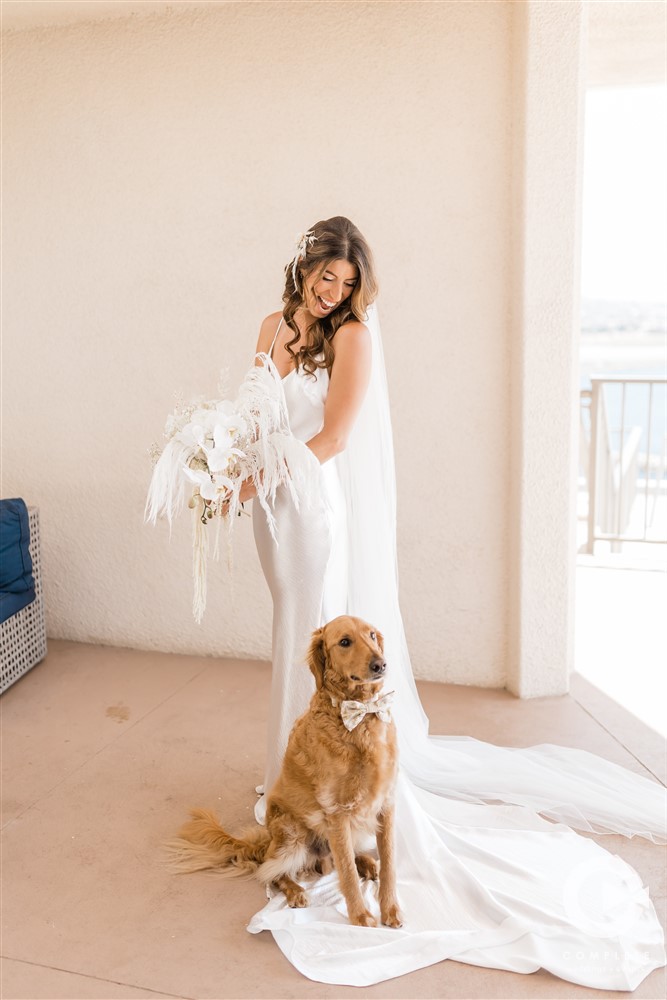 bride and dog wedding photos