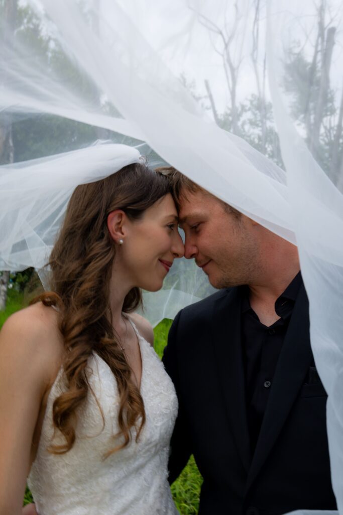 Top Questions to Ask Wedding Vendors in Davenport, Iowa