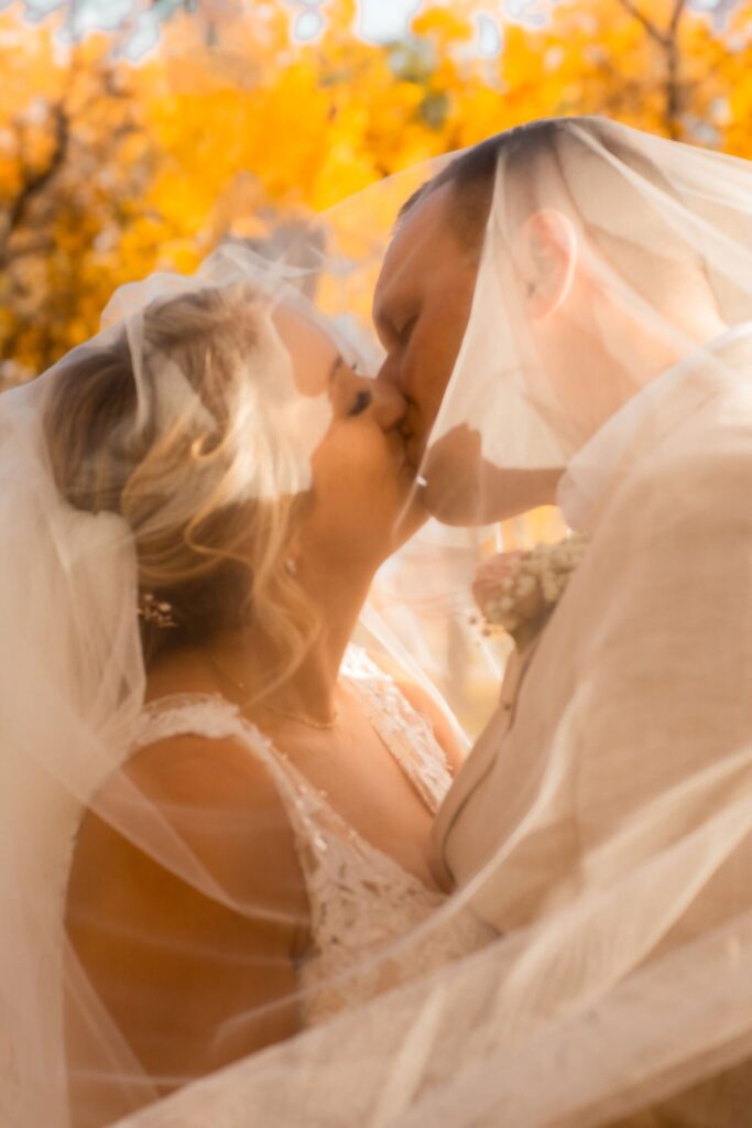 seamless wedding Quad Cities