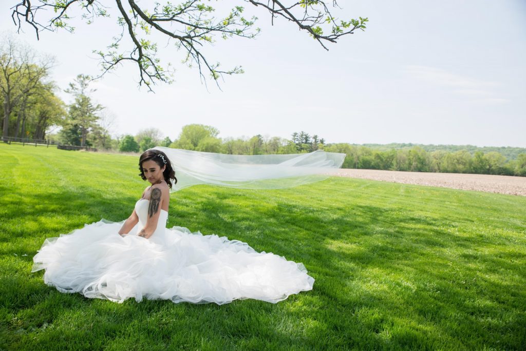 Wind in your Veil Bride Portrait at the Mayowood Stone Barn in Rochester, MN