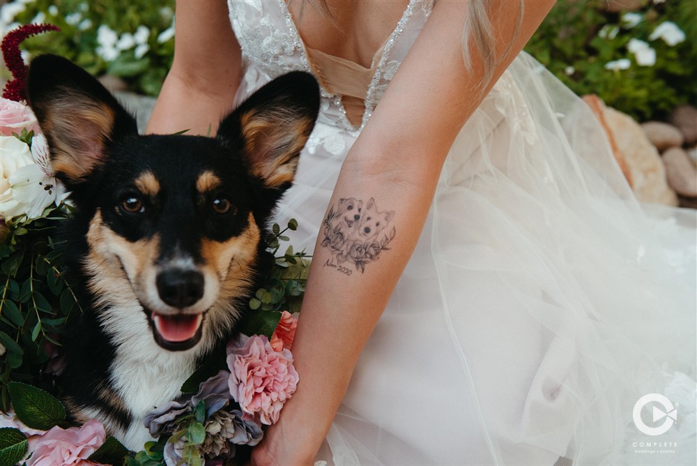 dog in the wedding