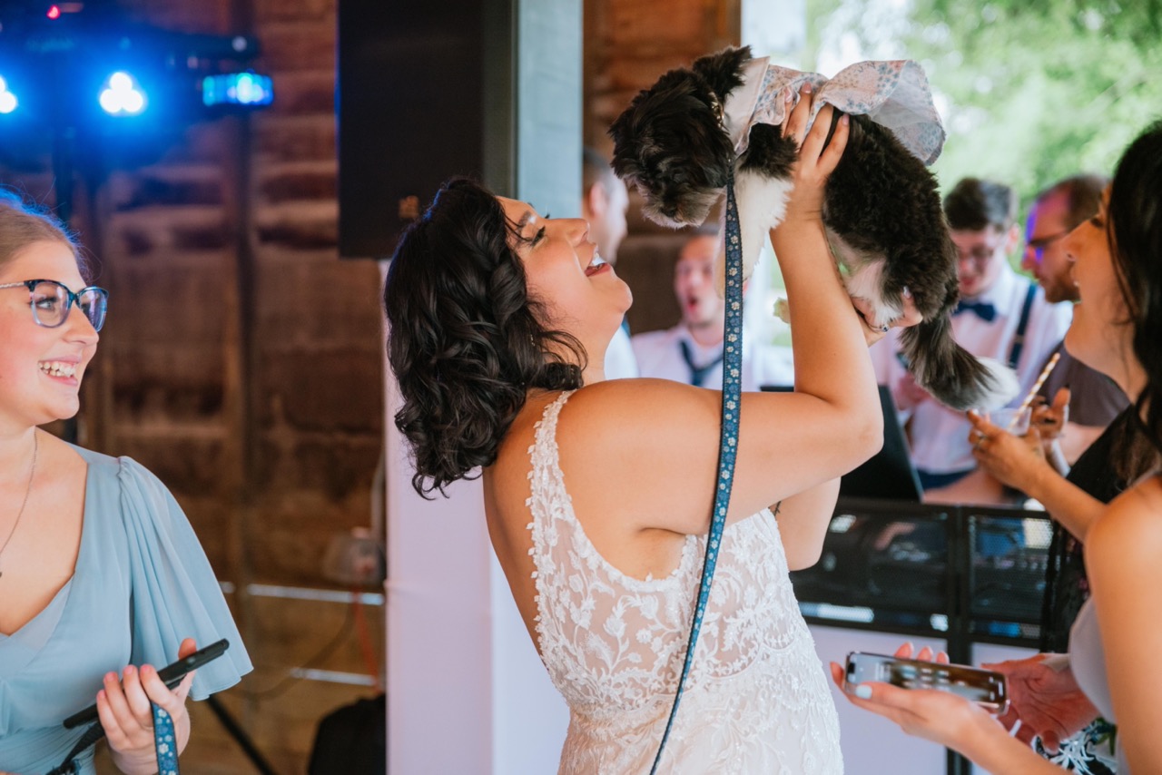 Include your pet into your wedding day