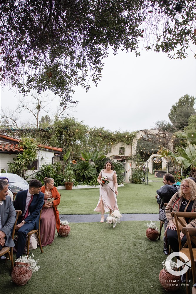 dog walking down the aisle