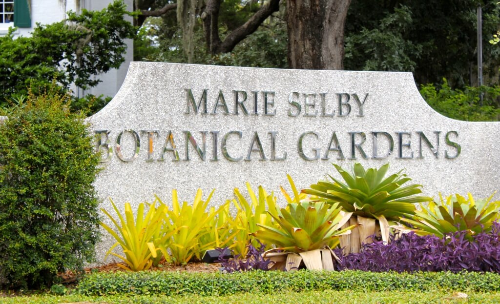 Small Wedding Venues in Sarasota, FL