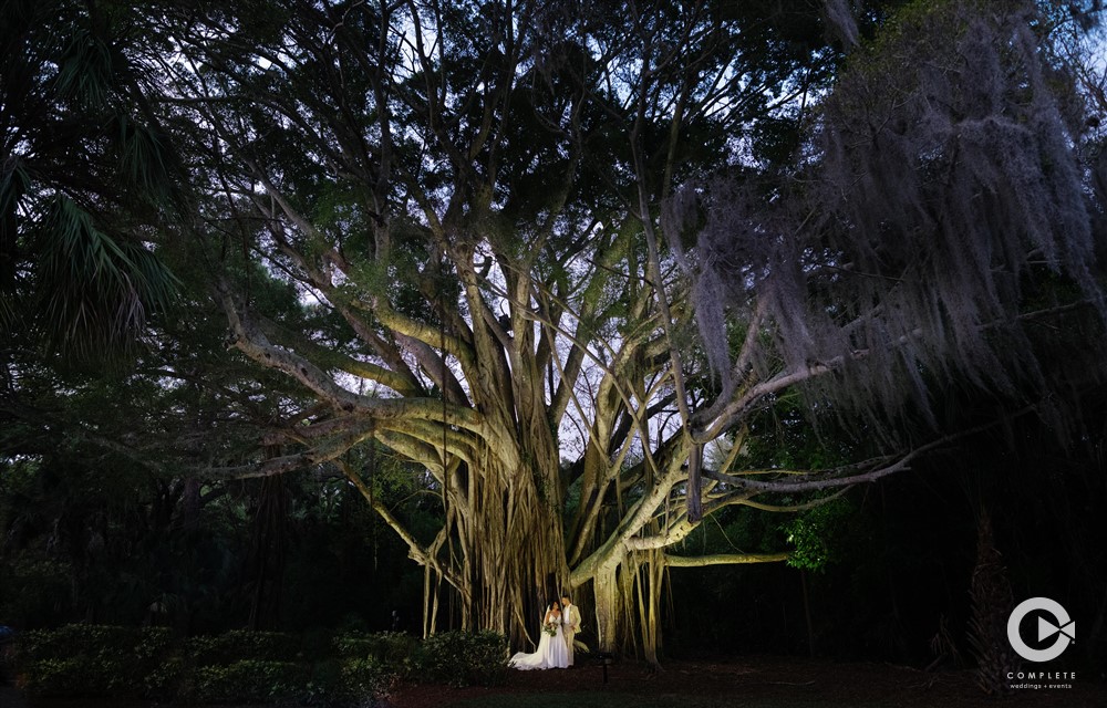 Newlyweds pose under a banyan tree