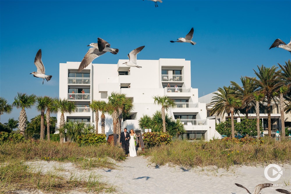 Seagulls take flight at Zota Beach Resort Marriage