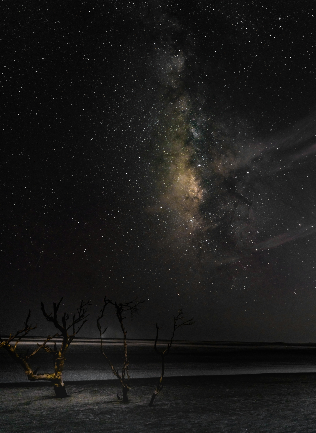 Starlit sky on beach