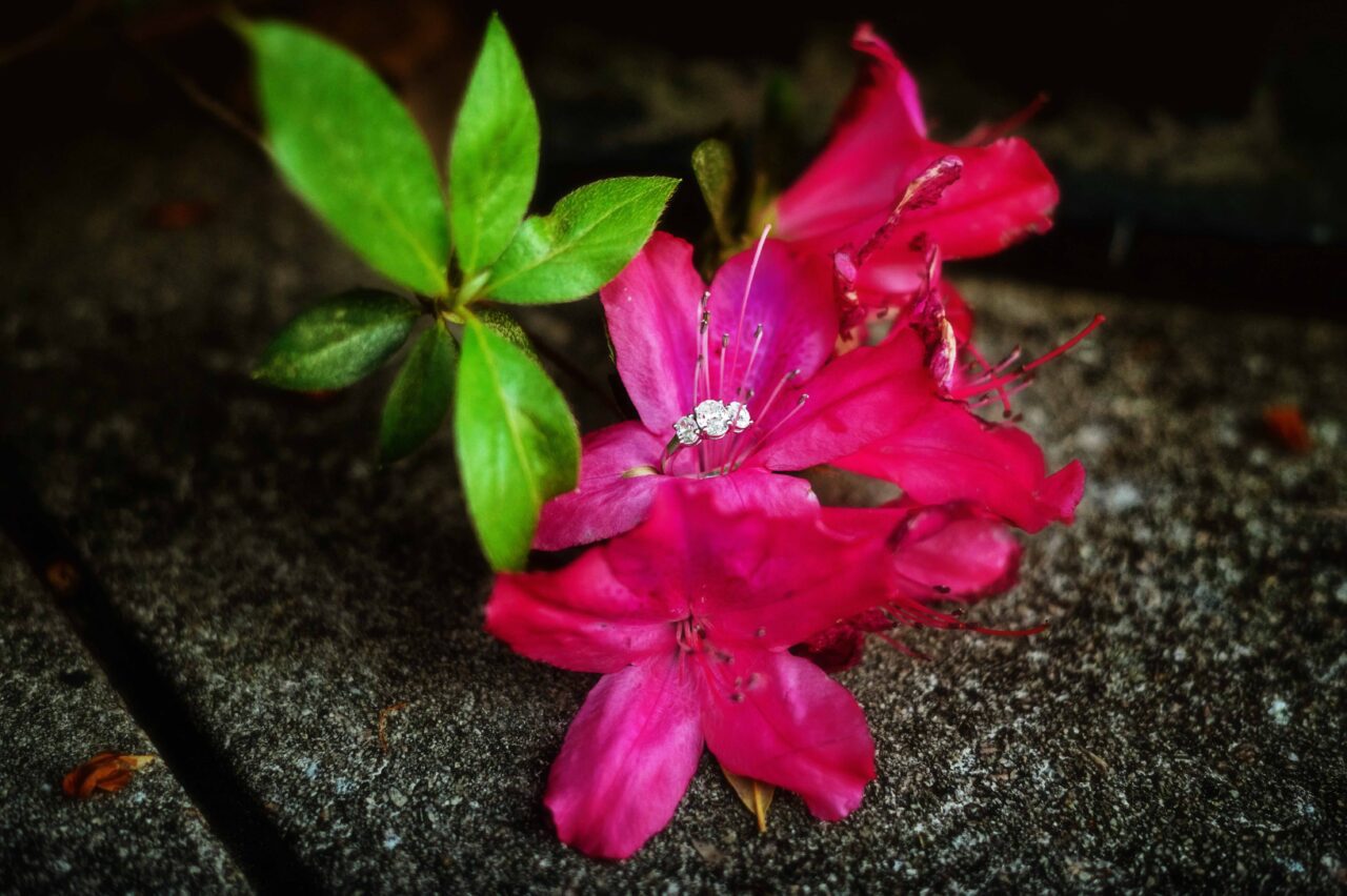 Engagement Ring