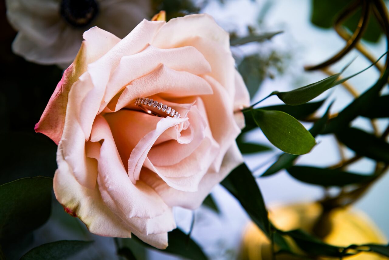 Jo Sisodia Seattle Wedding Photograph