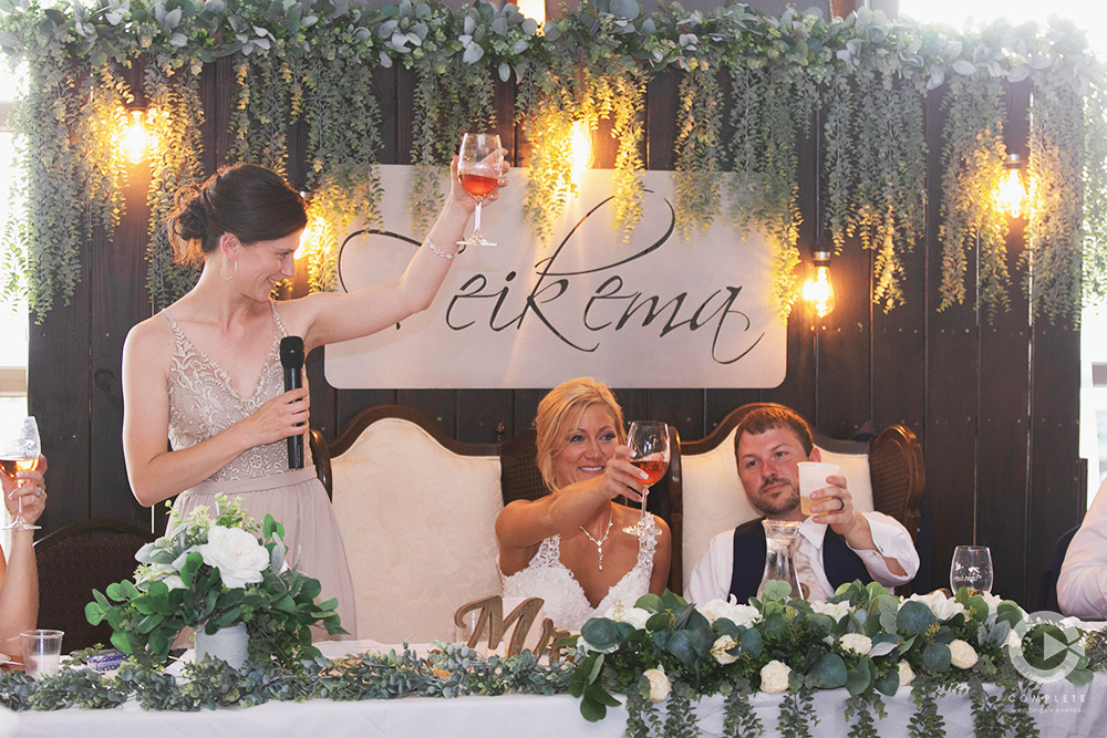 Cheers at Reception - wedding planning checklist