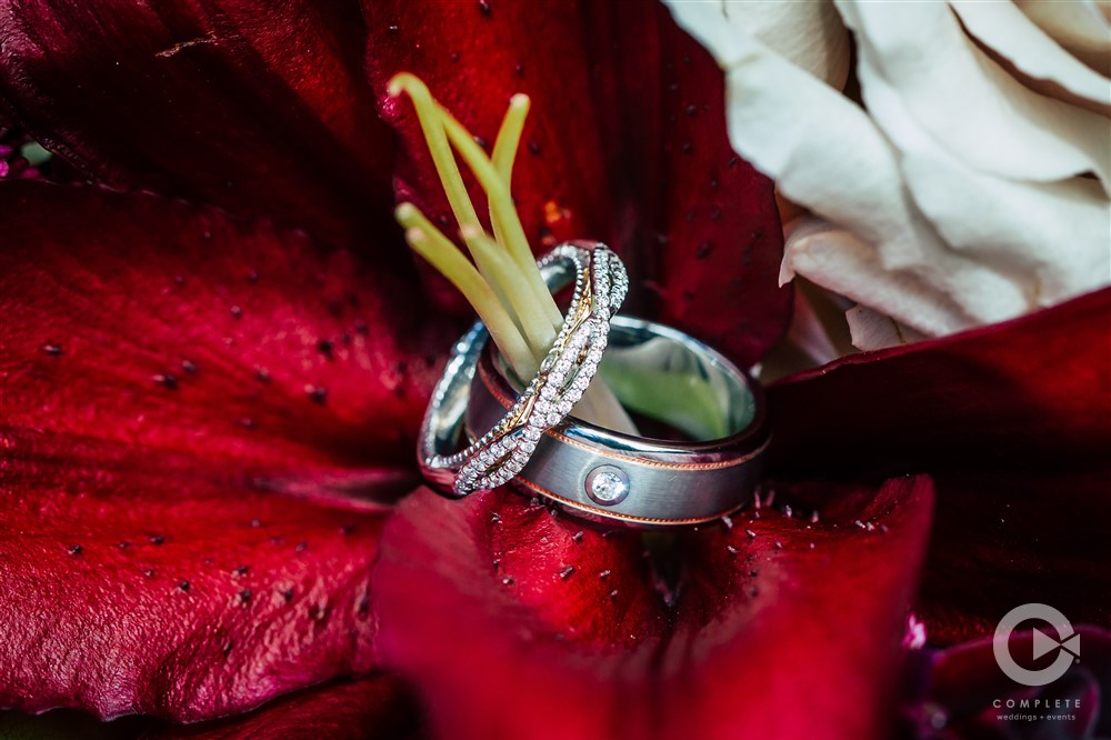 Bride and groom's rings