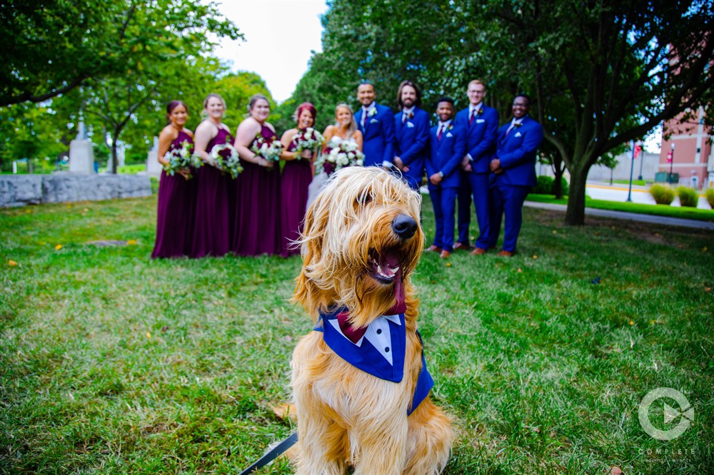 good boy in front of bridal party