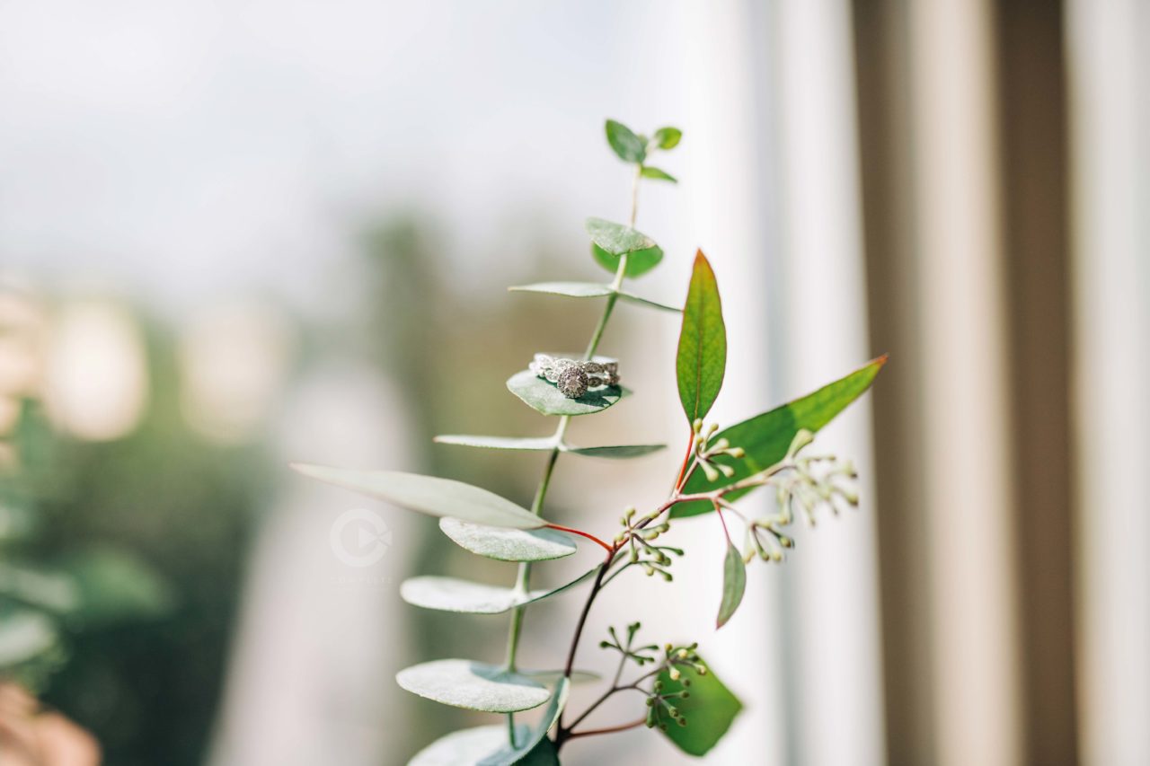 Detail Ring Shot, complete weddings + events photography, St. Louis wedding, wedding rings