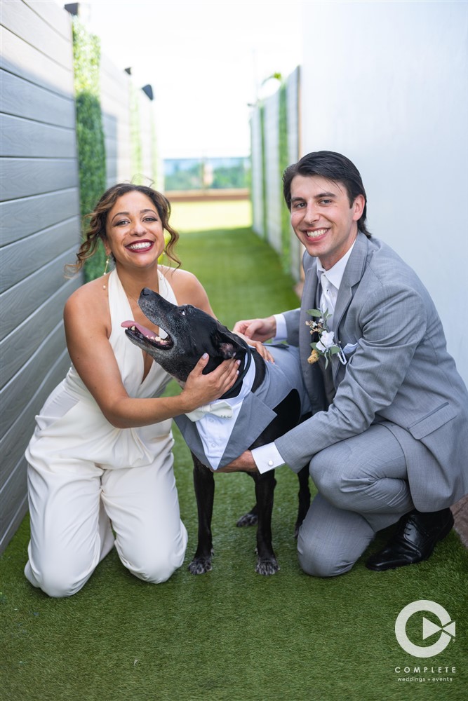 Furry Ventures Pet Care wedding services in Tampa for St. Pete wedding.