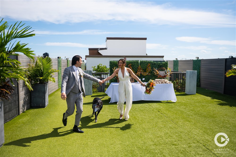 Hotel Zamora Rooftop Wedding in St. Pete Bride and Groom and Dog