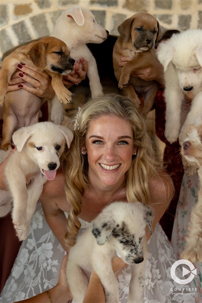 Puppies at wedding in Oklahoma