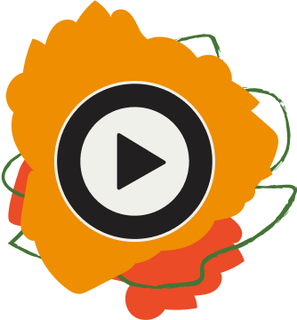 Videography Icon
