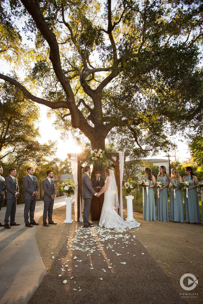 Outdoor Wedding Ceremony by Tree